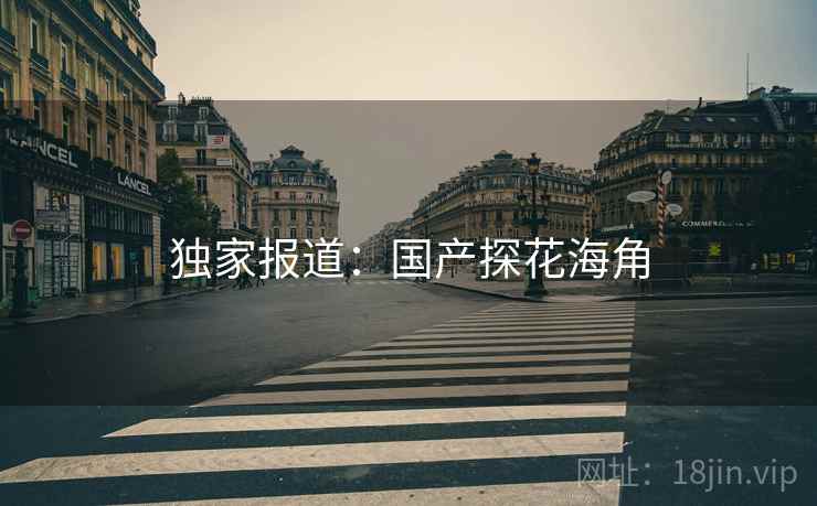 独家报道：国产探花海角