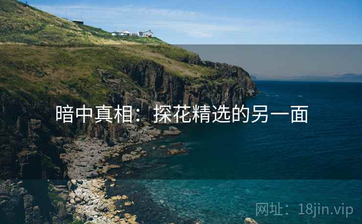 暗中真相：探花精选的另一面