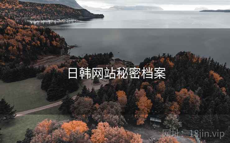 日韩网站秘密档案