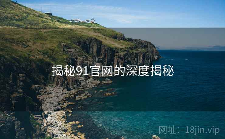 揭秘91官网的深度揭秘
