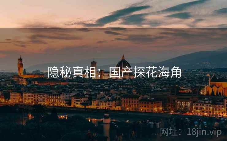 隐秘真相：国产探花海角