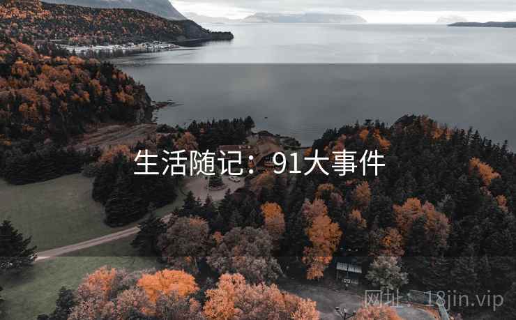 生活随记：91大事件