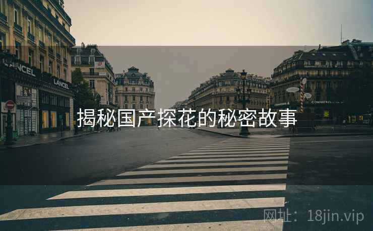 揭秘国产探花的秘密故事