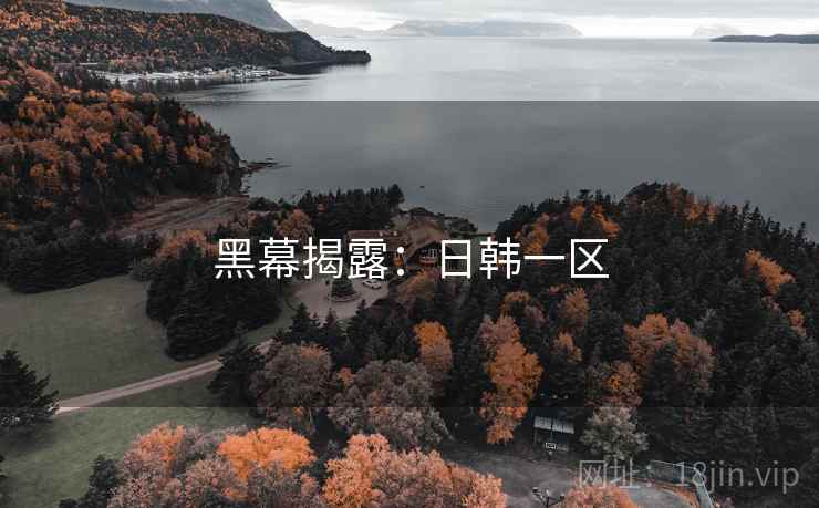 黑幕揭露:日韩一区 黑幕揭露:日韩一区