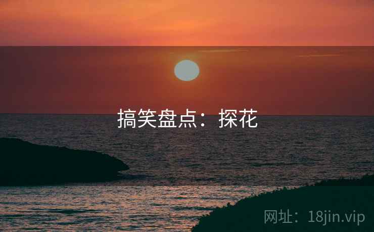 搞笑盘点:探花 搞笑盘点:探花