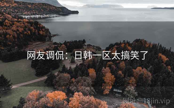 网友调侃:日韩一区太搞笑了 网友调侃:日韩一区太搞笑了