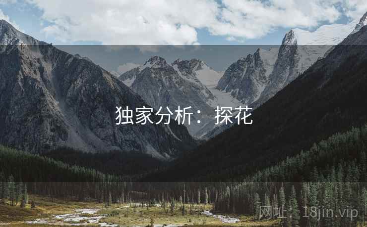 独家分析:探花 独家分析:探花