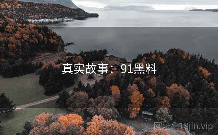 真实故事:91黑料 真实故事:91黑料