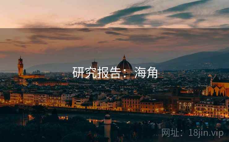 研究报告:海角 研究报告:海角