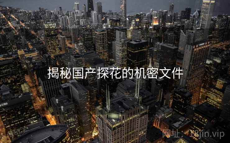 揭秘国产探花的机密文件 揭秘国产探花的机密文件