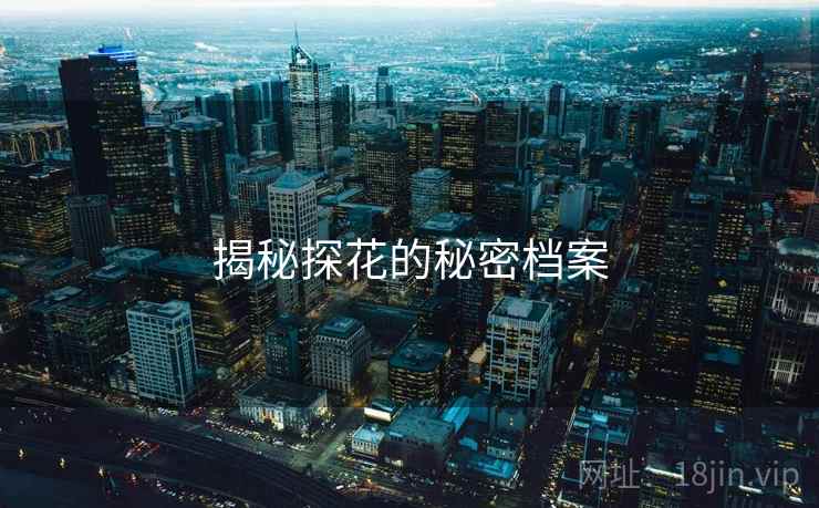 揭秘探花的秘密档案